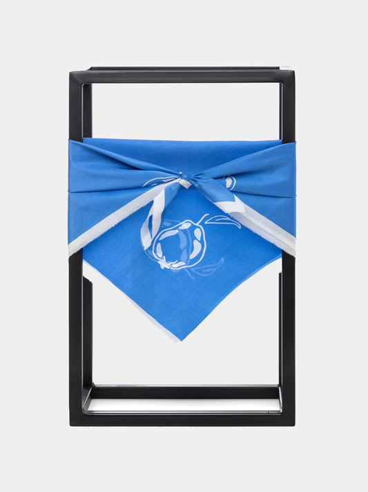 EVANNA CARRÉ BLEU DE FRANCE SILK SCARF